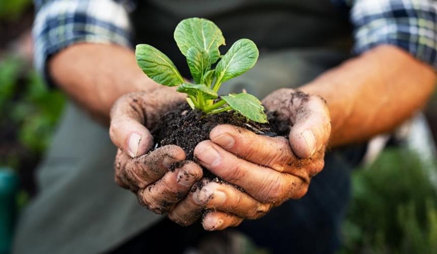 Opinion: Consumers need our help to eliminate confusion about sustainability