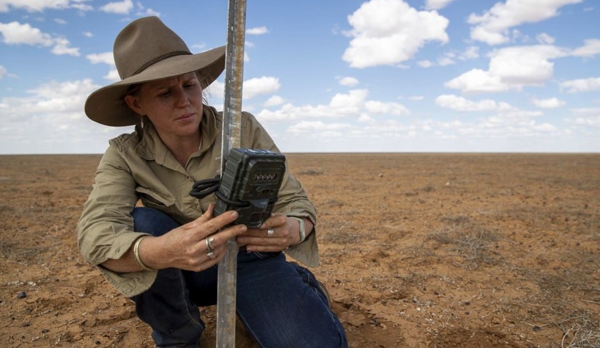 NAPCo aligns with Australian Wildlife Conservancy in large-scale land management deal