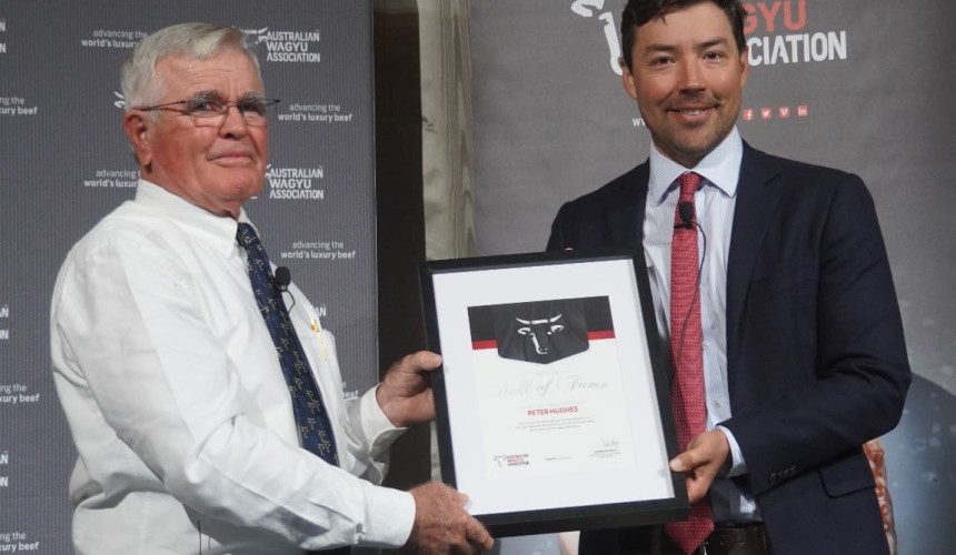 Queensland cattleman Peter Hughes joins Wagyu Hall of Fame