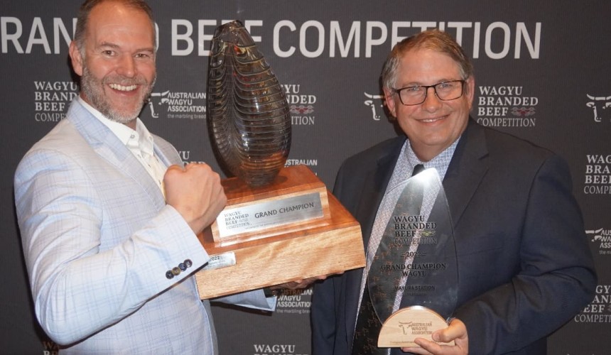 Curve-benders leading Wagyu beef in new, more efficient directions,  branded beef competition shows