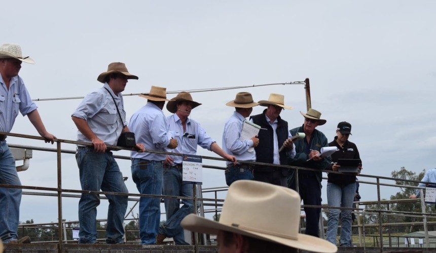 How Gunnedah producers are navigating the high cost of business