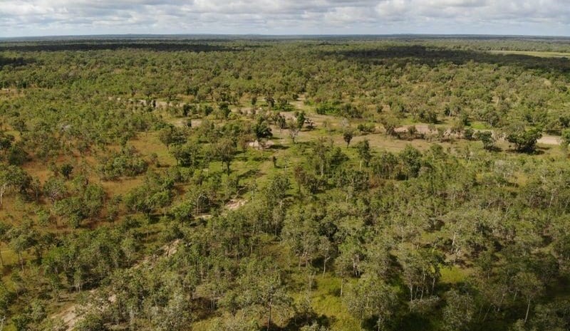 NSW producers purchase NT’s Douglas South for $15m