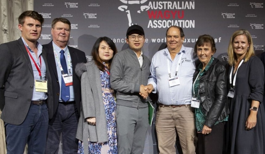 Elite Wagyu sale lights-up, with all-breeds record prices and averages