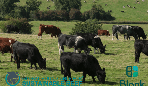 GRSB launches Carbon Footprint Guide to support consistency in emissions reporting