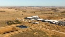 TFI progresses Murray Bridge meat plant + VIDEO