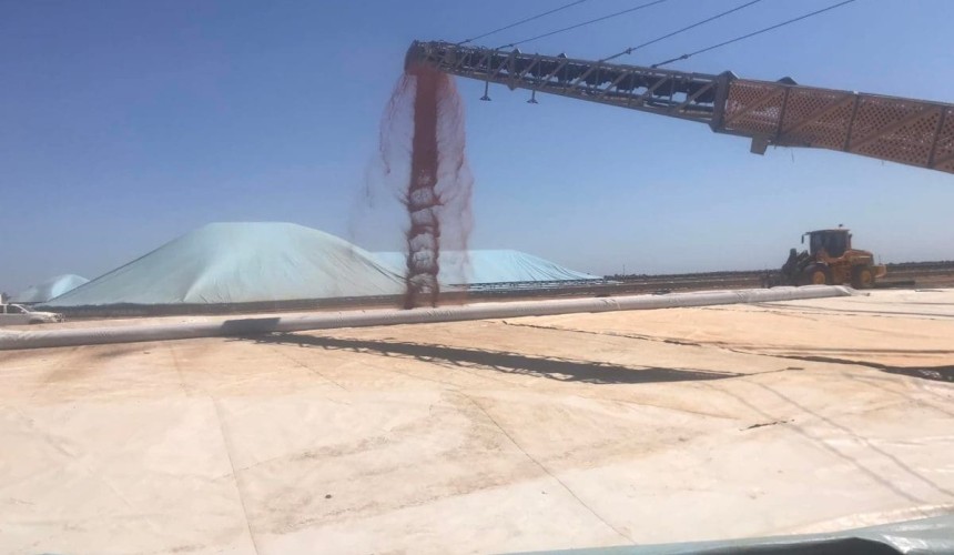 Feedgrain Focus: North steadies, south surges
