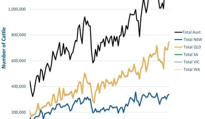 Numbers on feed, industry capacity hit new records in March feedlot survey