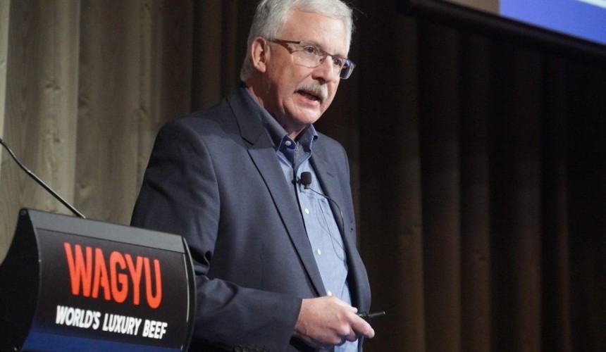 Risks in selecting for extreme mature cow size, Wagyu conference told