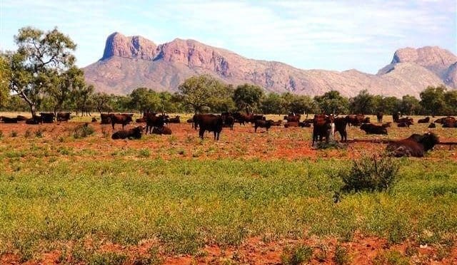 Weekly property review: Central Australia morphs into corporate territory – who would have thought?