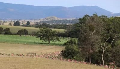 CSIRO to release a biodiversity calculator this year