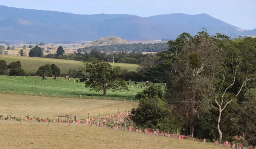 Federal Govt puts support behind nature-based reporting for lenders