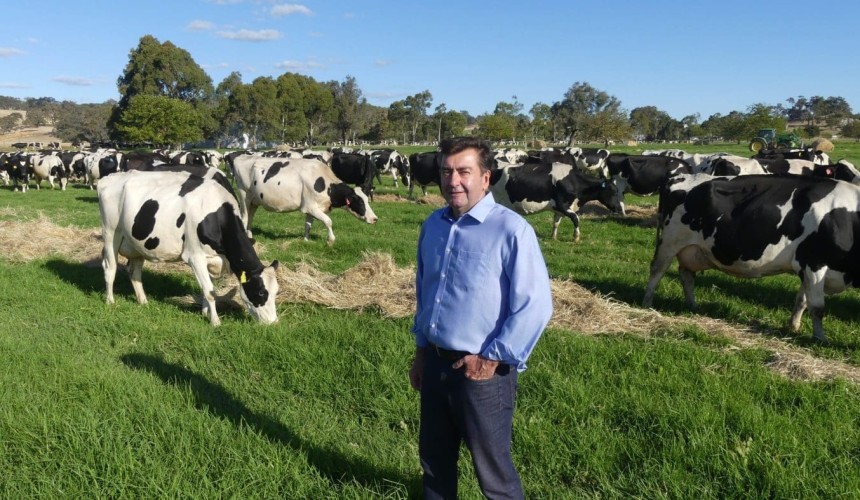 COP28: Methane reducing solutions can transform cattle into climate champions