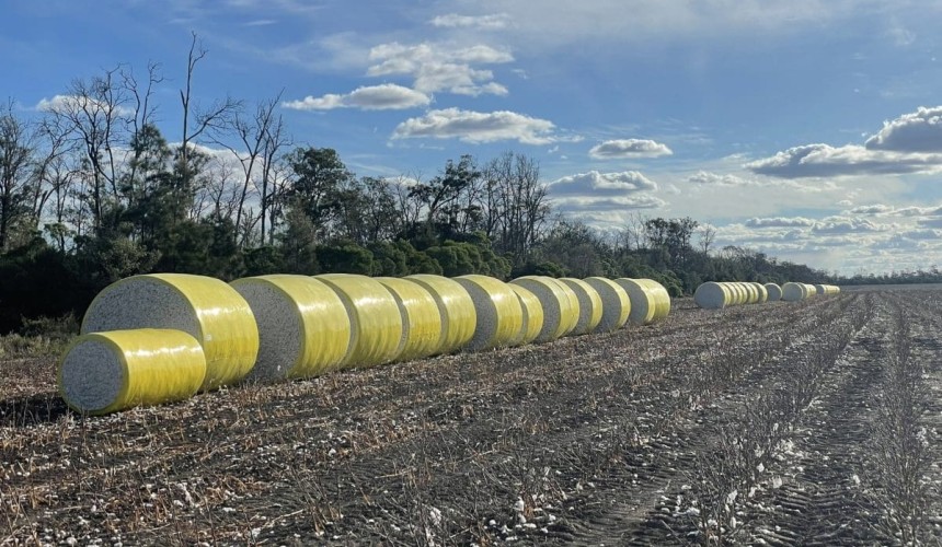 Feedgrain Focus: Prices jump to new highs