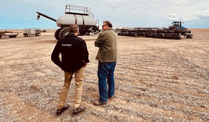 Feedgrain Focus: Dollar drop boosts prices