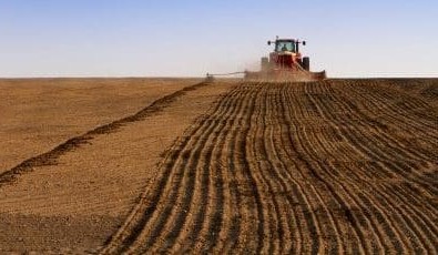 Feedgrain Focus: SFW passes $500/t, tops drought highs