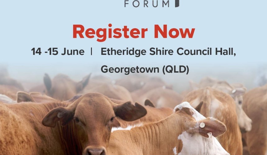 BeefUp forum heads to Georgetown next week