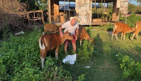 Why FMD is a bigger threat than Aus appears to recognise