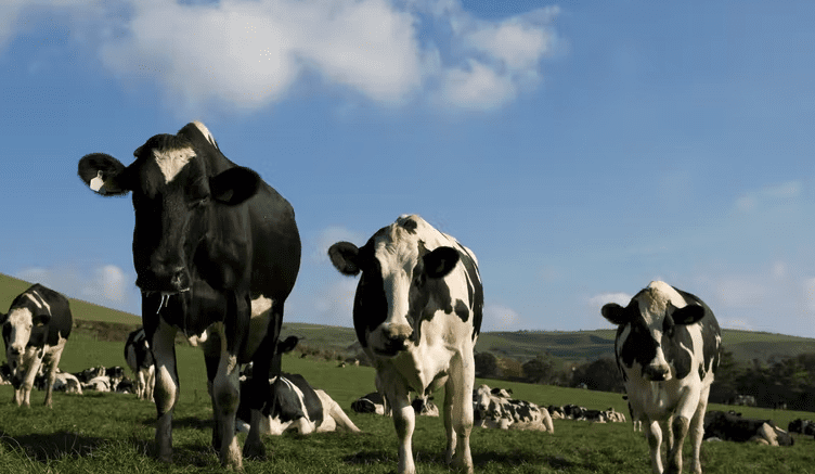 British farmers are being offered a lump sum payment to leave the industry – but at what cost to agriculture?