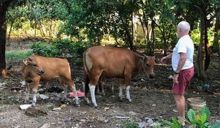 FMD risk: Rural Aussies returning from Bali urged to take extra care
