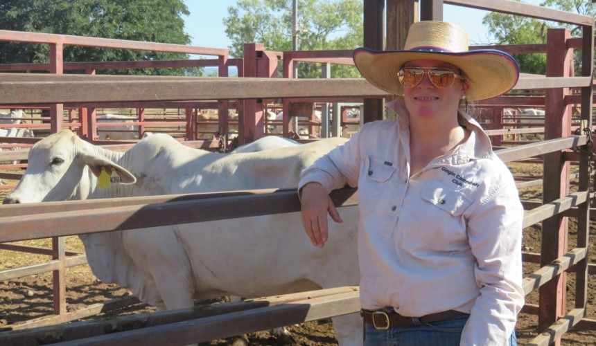 Genetics project to lift performance of northern cattle herd