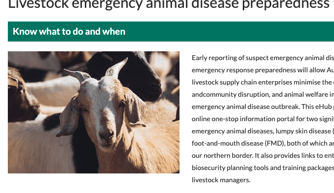 Qld launches one-stop FMD, LSD information portal