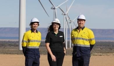 Woolworths moves to 100pc renewable energy in SA business