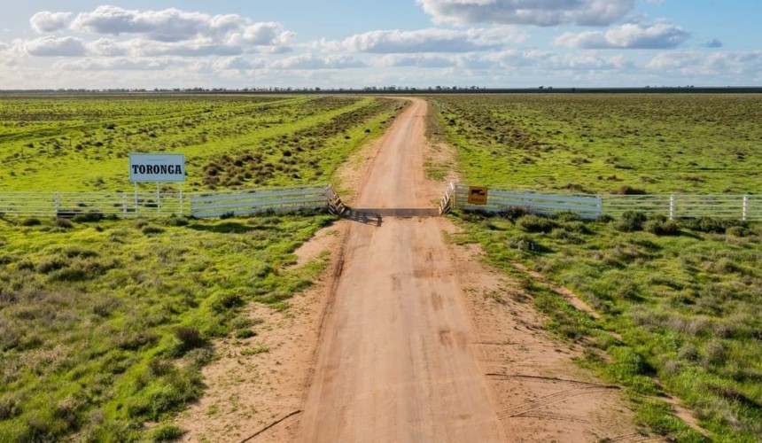 Riverina portfolio could make circa $50m + VIDEO