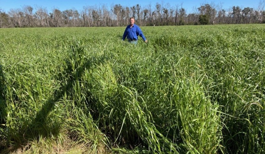 Grassland Society returns to in-person conference in 2022