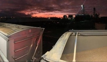 Feedgrain Focus: Markets sag as shorts disappear