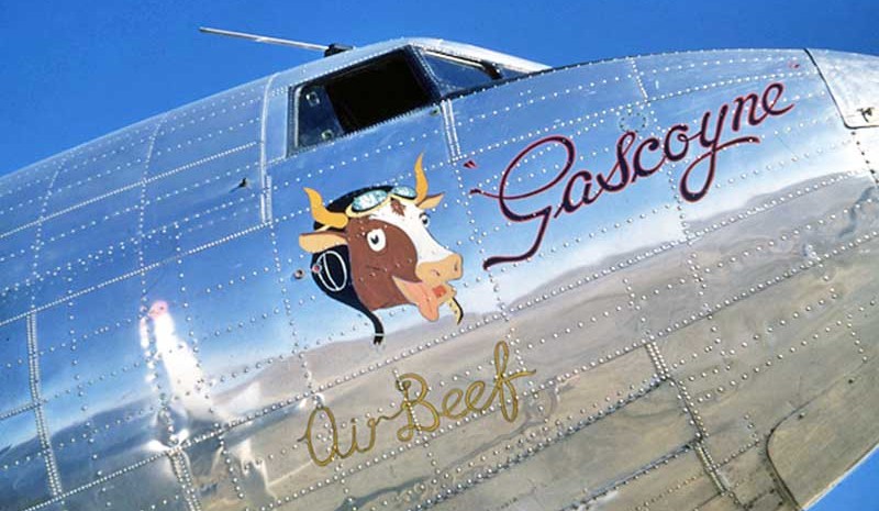 Air Beef: When the Kimberley cattle industry took flight