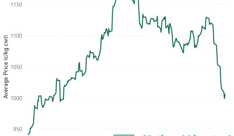 Milestone reached, as EYCI crashes below 1000c yesterday