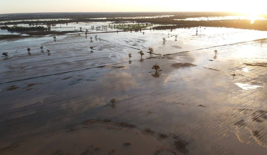 Feedgrain Focus: Wet weather hits market confidence