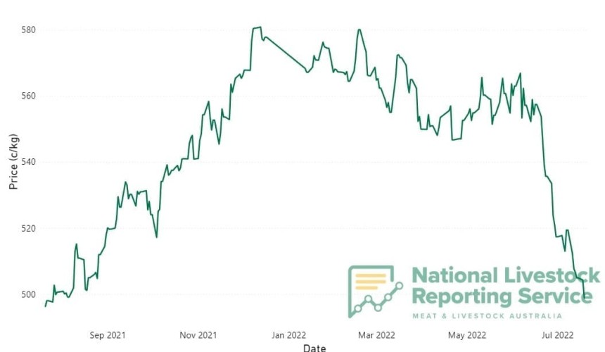 Feeder steer prices continue rapid deterioration