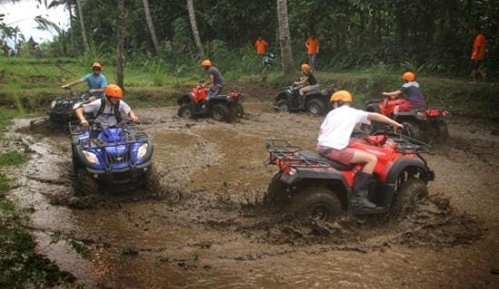 Bali tourists confused over FMD actions
