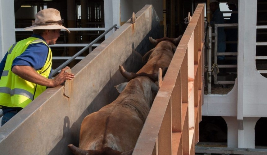 Applications open for Darwin shipboard stockperson training course