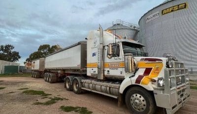 Feedgrain Focus: ASW holds in softening market