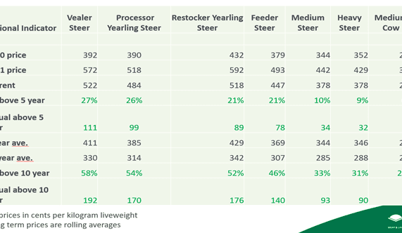 Multiple market drivers influencing cattle price performance, says MLA
