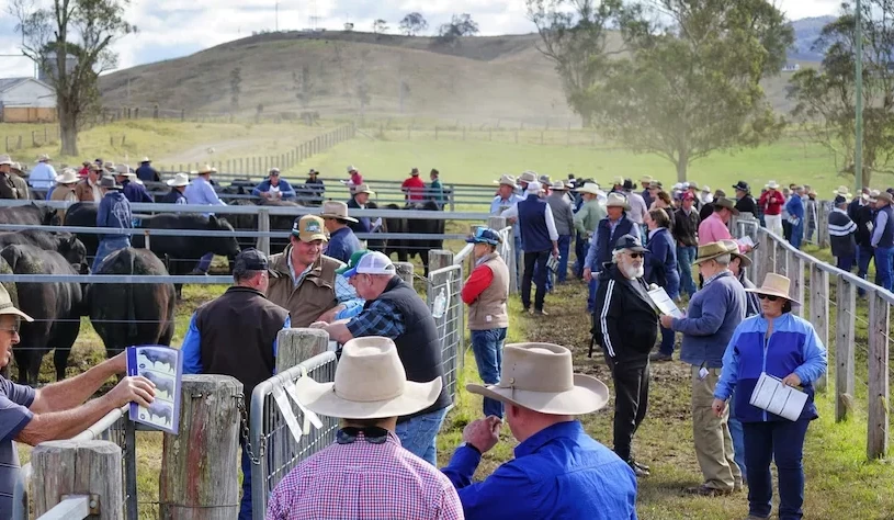 Weekly genetics review: How often should you change your bull breeders?