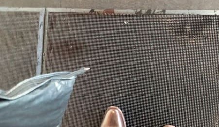 One small step for a traveller, one bigger step for biosecurity