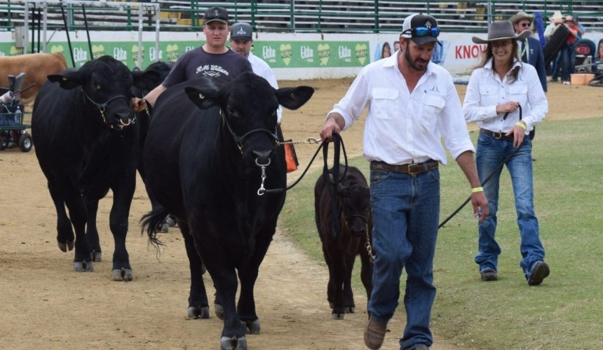 Ekka show ring hears plenty of F-words + PICS