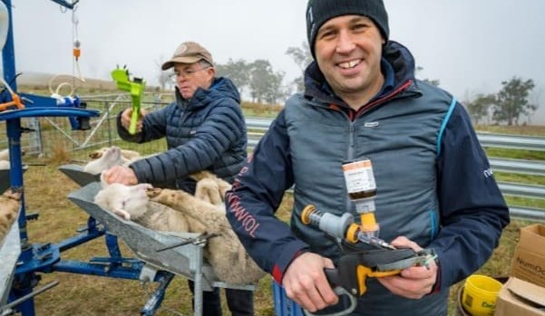 Livestock producers set to gain greater access to pain relief products