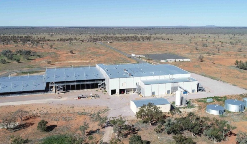 TFI receives $5m govt grant to upgrade new Bourke plant
