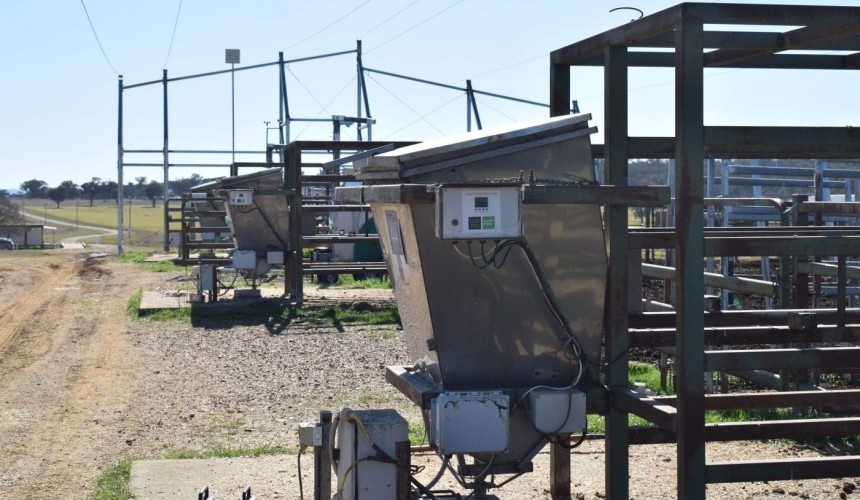 Global Methane Hub releases priorities for philanthropic research