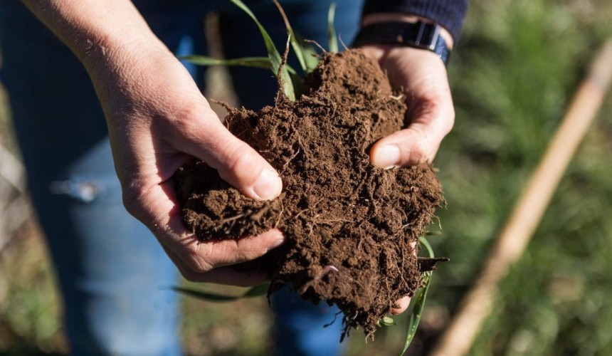 Renaming regenerative agriculture could open doors