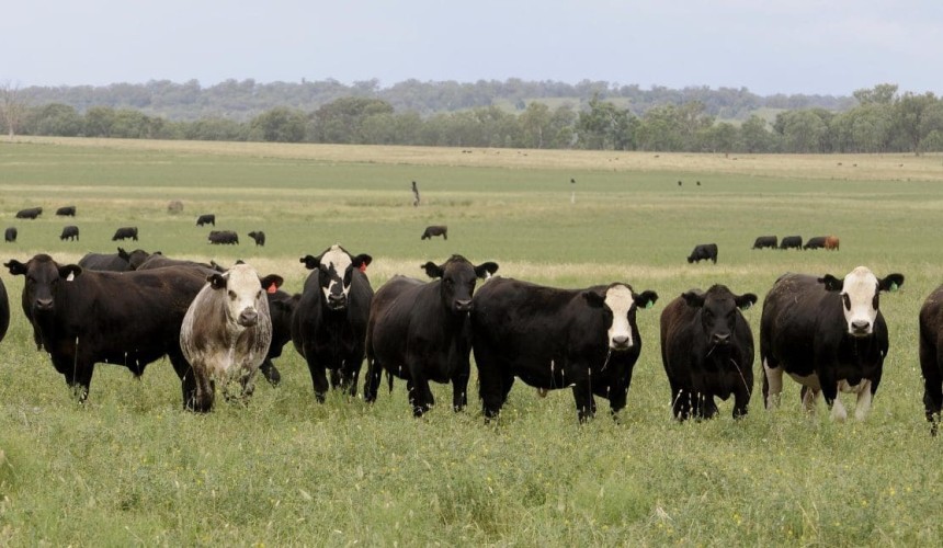 Barraba’s Plumthorpe aggregation makes +$100m