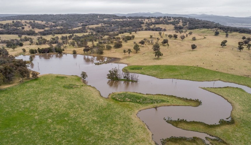 Weekly property review: Wagyu sector driving New England property demand