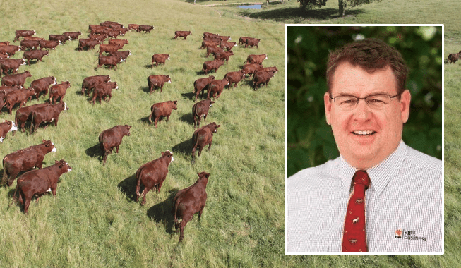 ‘Significant increase’ in demand for livestock finance