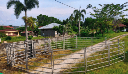 MLA funds portable yards for FMD vaccination in Indonesia