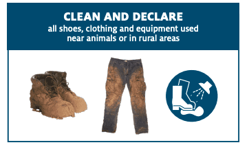 School holiday travellers receive FMD reminder
