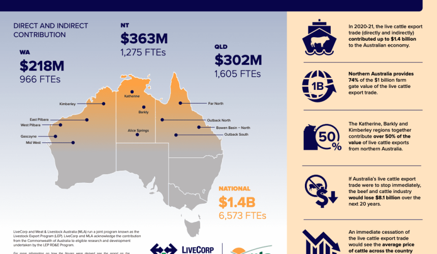 Benefits of live exports to northern Australia quantified